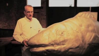 Edward Tufte and his smiling fish