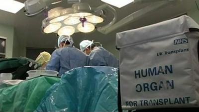 Surgeons in the operating theatre with human organ transplant cool-box