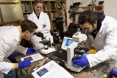 Amateur scientists looking into microscopes