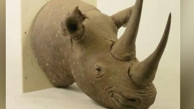 Rhino with horns