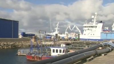 The trawlermen from Shetland sold vast quantities of mackerel and herring evading EU quotas.