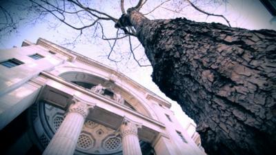 The front of Bush House