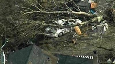 Car under tree