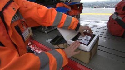 A "Golden Hour" box, containing dummy samples of blood