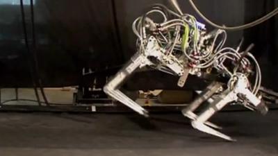 The 'Cheetah' robot