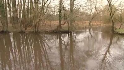 Pond filled with water