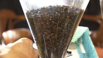 Coffee beans are funnelled in coffee shop grinder.