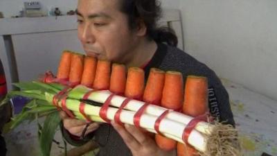 Panpipes made from carrots!
