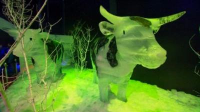 Ice sculpture of a cow