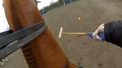 View of polo ball from horse