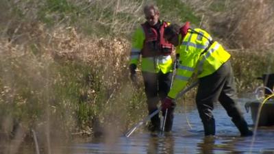 Environment agency rescuing fish