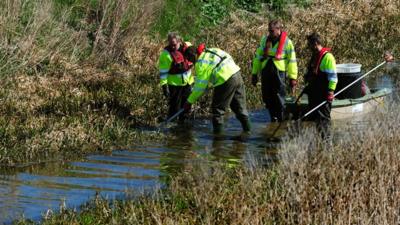 Environment Agency working to catch fish