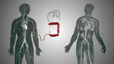 A graphic visualisation of a bag of blood being intravenously injected into a man's arm