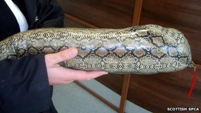 The snake draft excluder