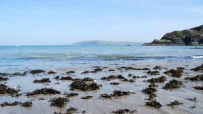 Welsh coast line