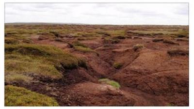 Kinder Scout peat bog