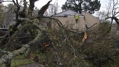 Fallen tree damages house