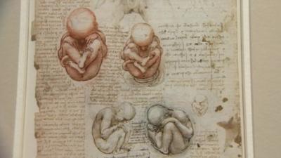 Leonardo da Vinci's drawings of the human body