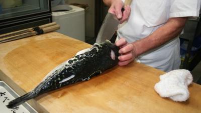 Japanese chef Kunio Miura preparing a blowfish