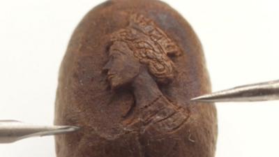 Queen's portrait on a coffee bean