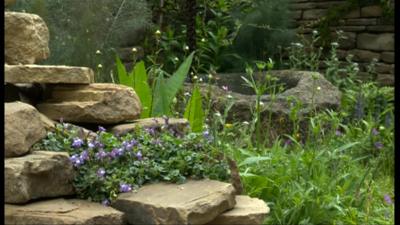 Garden at the 2012 Chelsea Flower Show