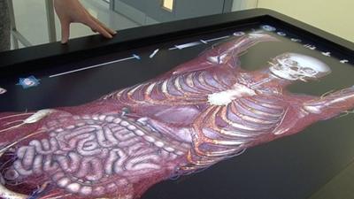 Digital Cadaver