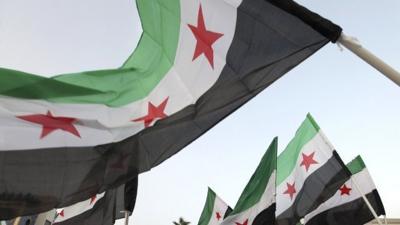 Syrian flags