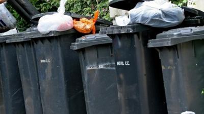 Wheelie bins