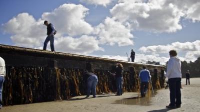 People studying the dock