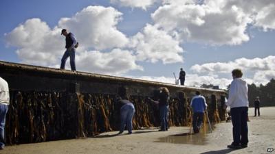 People studying the dock