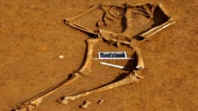 Unearthed skeleton in Belgium,