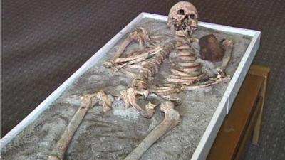 The suspected vampire's skeleton on display at Bulgaria's National History Museum