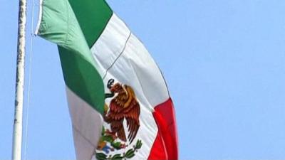 Mexican flag