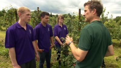 Hadlow College students being taught