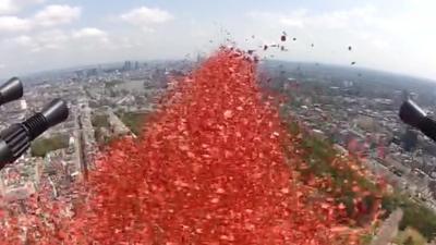 Poppies dropped during flypast