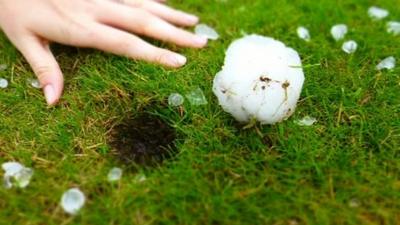 Hailstones