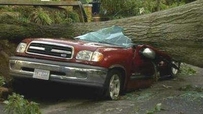 Storm damages car in Washington DC