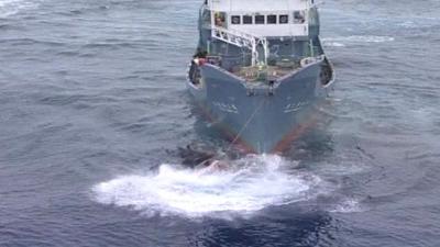 Japanese whaling ship (Greenpeace)