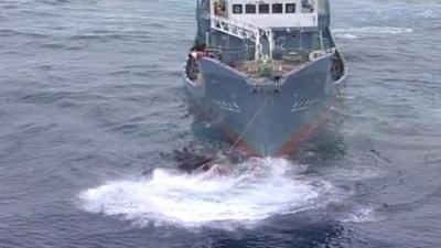 Japanese whaling ship (Greenpeace)