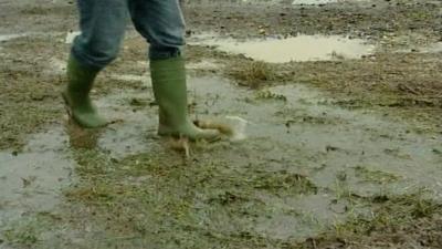 Wellington boots in muddy field