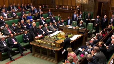 Commons leader Sir George Young addressing parliament