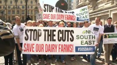 Dairy farmers protesting in London