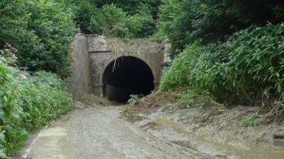 Beaminster Tunnel, Dorset