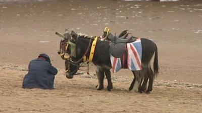 A man and his donkey on the beach