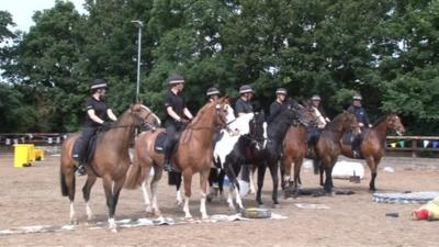 South Yorkshire Police horses