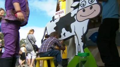 Child practices milking