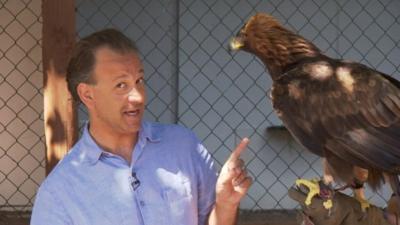 Jules Hyam with eagle