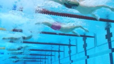 Underwater view of swimmers in Olympic pool