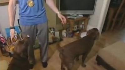 Greg Rutherford with his two labradors