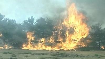 Wildfires in Greece